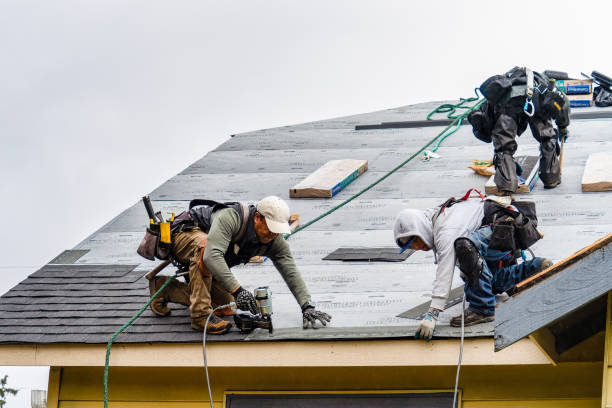 Professional Roof Replacement technician working in Perkinsville, VT